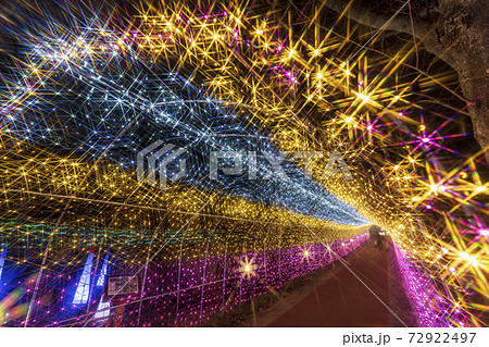 船岡城址公園のイルミネーション Shibata Fantasy Illumination 2020 船岡城址公園のイルミネーション Shibata Fantasy Illumination 2020 72922497