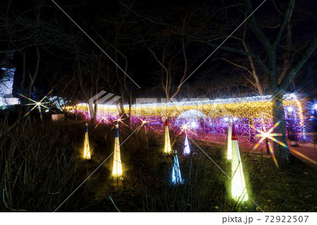 船岡城址公園のイルミネーション Shibata Fantasy Illumination 2020 船岡城址公園のイルミネーション Shibata Fantasy Illumination 2020 72922507