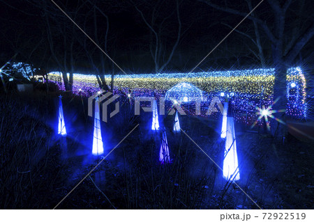 船岡城址公園のイルミネーション Shibata Fantasy Illumination 2020 船岡城址公園のイルミネーション Shibata Fantasy Illumination 2020 72922519