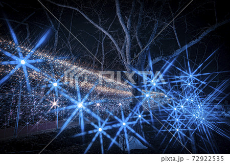 船岡城址公園のイルミネーション Shibata Fantasy Illumination 2020 船岡城址公園のイルミネーション Shibata Fantasy Illumination 2020 72922535