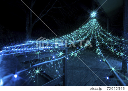 船岡城址公園のイルミネーション Shibata Fantasy Illumination 2020 船岡城址公園のイルミネーション Shibata Fantasy Illumination 2020 72922546