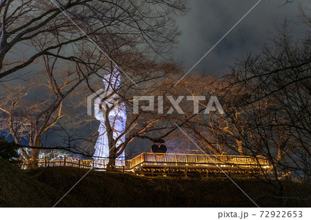 船岡城址公園のイルミネーション Shibata Fantasy Illumination 2020 船岡城址公園のイルミネーション Shibata Fantasy Illumination 2020 72922653