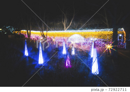 船岡城址公園のイルミネーション Shibata Fantasy Illumination 2020 船岡城址公園のイルミネーション Shibata Fantasy Illumination 2020 72922711