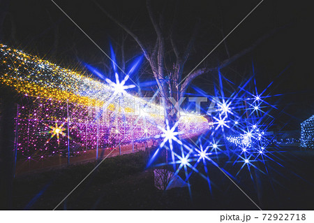 船岡城址公園のイルミネーション Shibata Fantasy Illumination 2020 船岡城址公園のイルミネーション Shibata Fantasy Illumination 2020 72922718