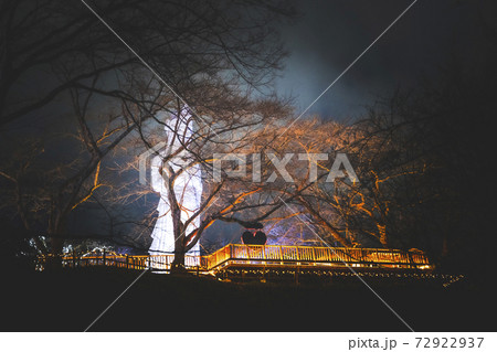 船岡城址公園のイルミネーション Shibata Fantasy Illumination 2020 船岡城址公園のイルミネーション Shibata Fantasy Illumination 2020 72922937