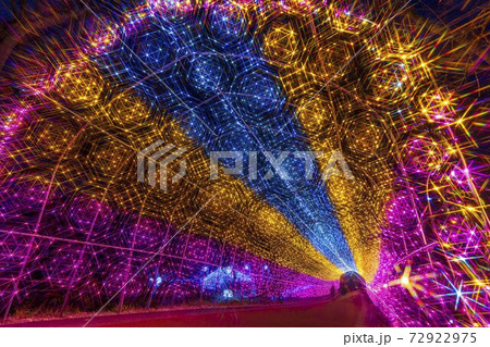 船岡城址公園のイルミネーション Shibata Fantasy Illumination 2020  72922975