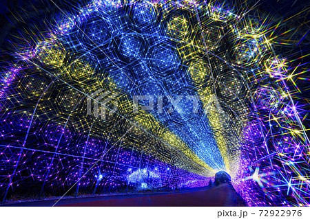船岡城址公園のイルミネーション Shibata Fantasy Illumination 2020 船岡城址公園のイルミネーション Shibata Fantasy Illumination 2020 72922976