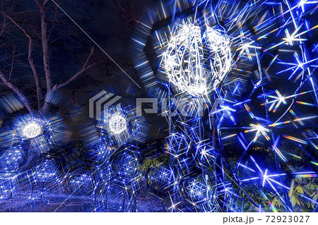 船岡城址公園のイルミネーション Shibata Fantasy Illumination 2020  72923027