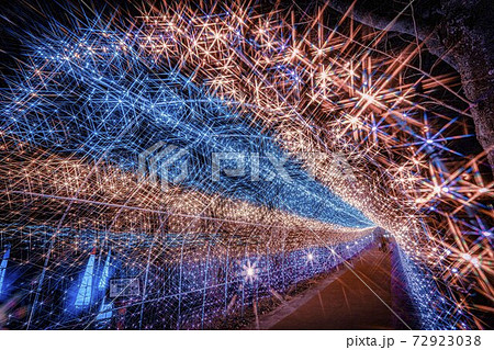 船岡城址公園のイルミネーション Shibata Fantasy Illumination 2020 船岡城址公園のイルミネーション Shibata Fantasy Illumination 2020 72923038