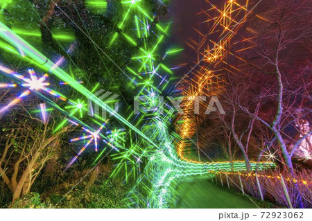船岡城址公園のイルミネーション Shibata Fantasy Illumination 2020 船岡城址公園のイルミネーション Shibata Fantasy Illumination 2020 72923062