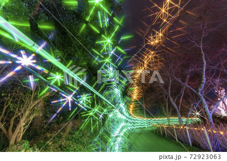 船岡城址公園のイルミネーション Shibata Fantasy Illumination 2020 船岡城址公園のイルミネーション Shibata Fantasy Illumination 2020 72923063