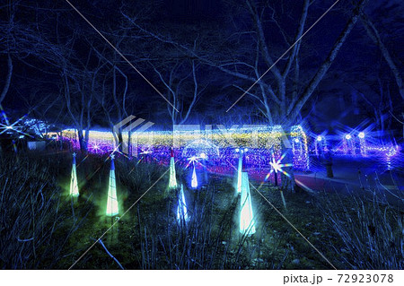 船岡城址公園のイルミネーション Shibata Fantasy Illumination 2020 船岡城址公園のイルミネーション Shibata Fantasy Illumination 2020 72923078