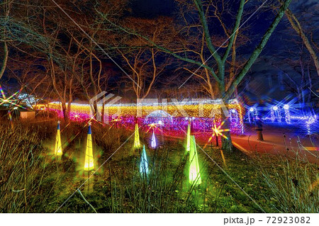 船岡城址公園のイルミネーション Shibata Fantasy Illumination 2020  72923082