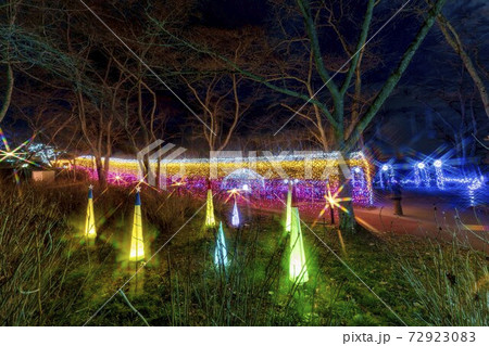 船岡城址公園のイルミネーション Shibata Fantasy Illumination 2020 船岡城址公園のイルミネーション Shibata Fantasy Illumination 2020 72923083