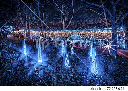 船岡城址公園のイルミネーション Shibata Fantasy Illumination 2020  72923091