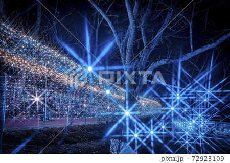 船岡城址公園のイルミネーション Shibata Fantasy Illumination 2020  72923109