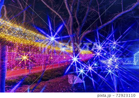 船岡城址公園のイルミネーション Shibata Fantasy Illumination 2020 船岡城址公園のイルミネーション Shibata Fantasy Illumination 2020 72923110
