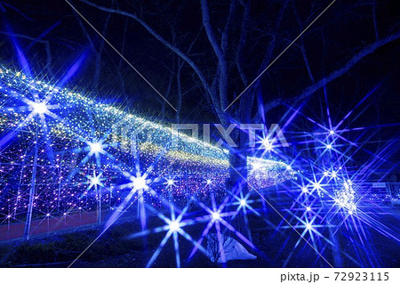 船岡城址公園のイルミネーション Shibata Fantasy Illumination 2020 船岡城址公園のイルミネーション Shibata Fantasy Illumination 2020 72923115