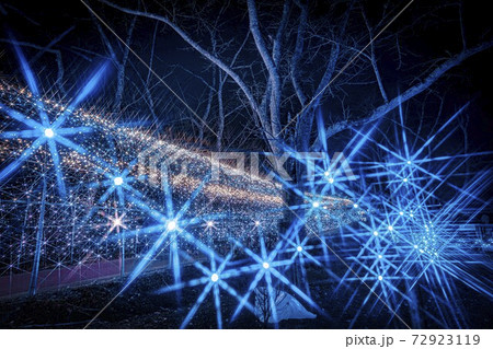船岡城址公園のイルミネーション Shibata Fantasy Illumination 2020 船岡城址公園のイルミネーション Shibata Fantasy Illumination 2020 72923119