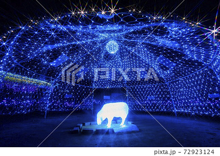 船岡城址公園のイルミネーション Shibata Fantasy Illumination 2020 船岡城址公園のイルミネーション Shibata Fantasy Illumination 2020 72923124