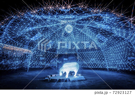 船岡城址公園のイルミネーション Shibata Fantasy Illumination 2020  72923127