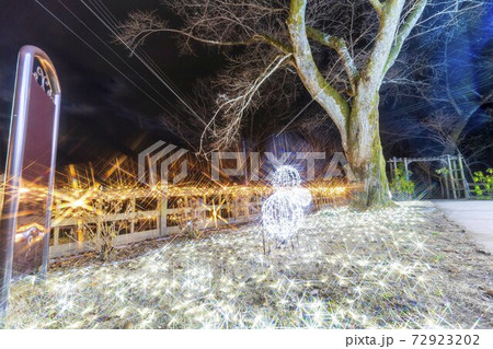 船岡城址公園のイルミネーション Shibata Fantasy Illumination 2020 船岡城址公園のイルミネーション Shibata Fantasy Illumination 2020 72923202