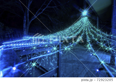 船岡城址公園のイルミネーション Shibata Fantasy Illumination 2020 船岡城址公園のイルミネーション Shibata Fantasy Illumination 2020 72923205