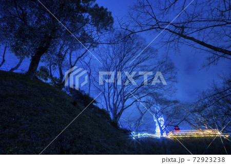船岡城址公園のイルミネーション Shibata Fantasy Illumination 2020 船岡城址公園のイルミネーション Shibata Fantasy Illumination 2020 72923238