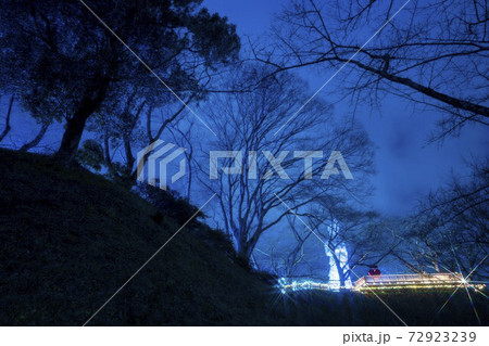 船岡城址公園のイルミネーション Shibata Fantasy Illumination 2020  72923239