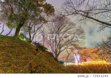 船岡城址公園のイルミネーション Shibata Fantasy Illumination 2020 船岡城址公園のイルミネーション Shibata Fantasy Illumination 2020 72923244