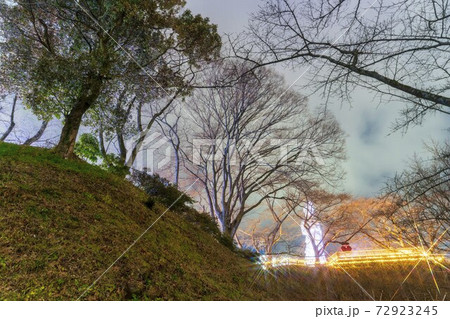 船岡城址公園のイルミネーション Shibata Fantasy Illumination 2020 船岡城址公園のイルミネーション Shibata Fantasy Illumination 2020 72923245