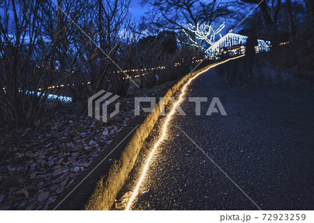 船岡城址公園のイルミネーション Shibata Fantasy Illumination 2020 船岡城址公園のイルミネーション Shibata Fantasy Illumination 2020 72923259