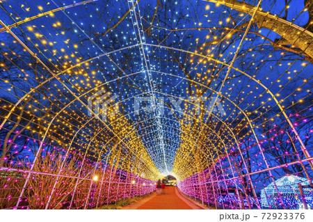 船岡城址公園のイルミネーション Shibata Fantasy Illumination 2020 船岡城址公園のイルミネーション Shibata Fantasy Illumination 2020 72923376