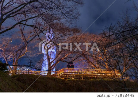 船岡城址公園のイルミネーション Shibata Fantasy Illumination 2020 船岡城址公園のイルミネーション Shibata Fantasy Illumination 2020 72923448