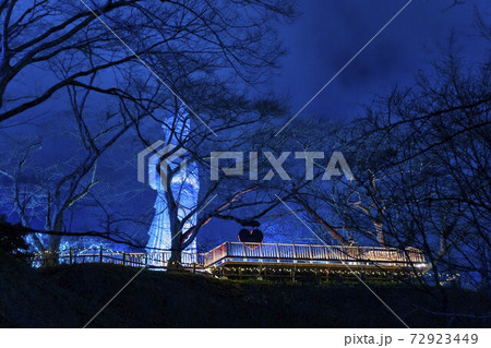 船岡城址公園のイルミネーション Shibata Fantasy Illumination 2020 船岡城址公園のイルミネーション Shibata Fantasy Illumination 2020 72923449