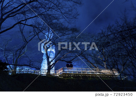 船岡城址公園のイルミネーション Shibata Fantasy Illumination 2020 船岡城址公園のイルミネーション Shibata Fantasy Illumination 2020 72923450
