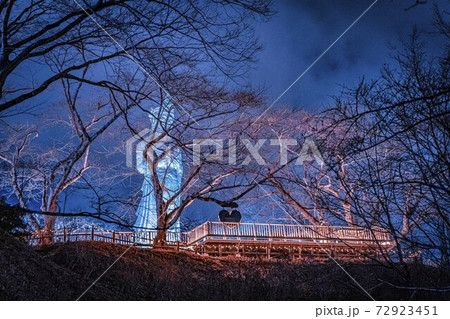 船岡城址公園のイルミネーション Shibata Fantasy Illumination 2020 船岡城址公園のイルミネーション Shibata Fantasy Illumination 2020 72923451