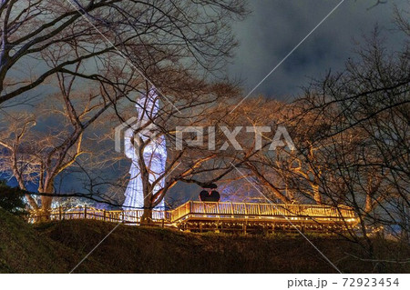 船岡城址公園のイルミネーション Shibata Fantasy Illumination 2020 船岡城址公園のイルミネーション Shibata Fantasy Illumination 2020 72923454