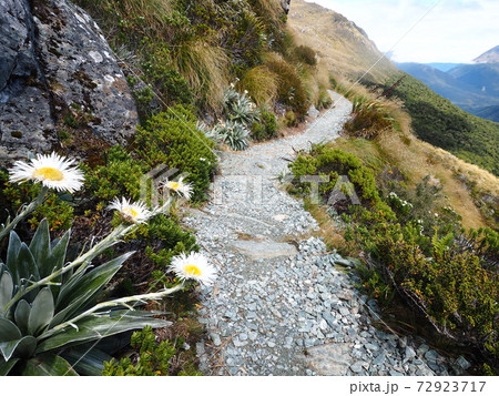 ルートバーントレックの景色 72923717