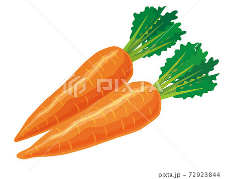 人参のイラスト素材