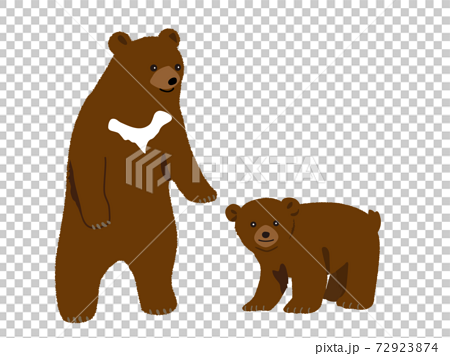 仲良し熊の親子のイラスト素材