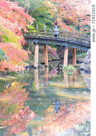 浜松城公園の秋の写真素材