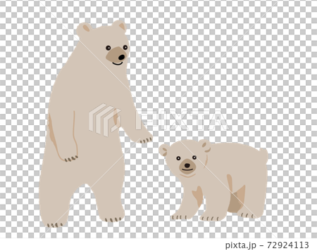 仲良し白熊の親子 72924113