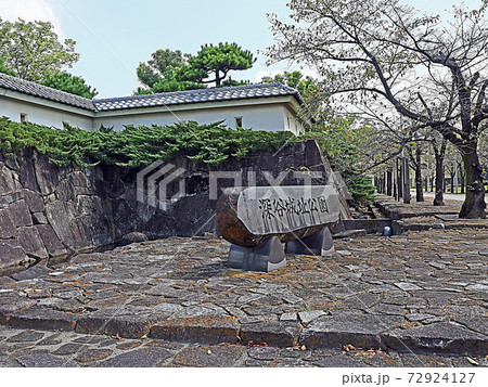 深谷城址公園（深谷） 72924127