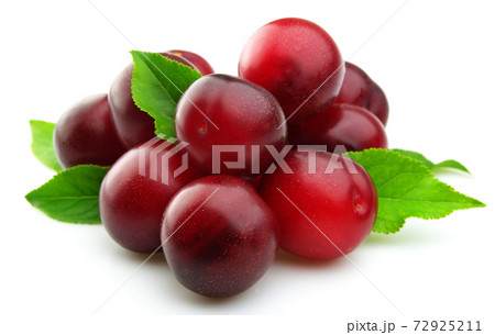 Plums with leaves on white backgrounds. 72925211