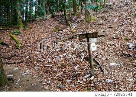 川苔山　船井戸　 72925541