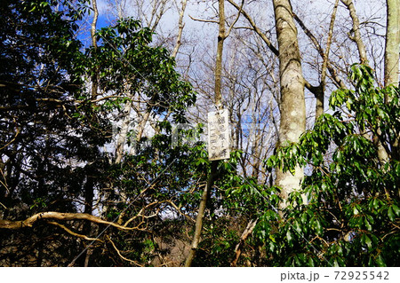 川苔山　鋸尾根Ⅰ峰 72925542