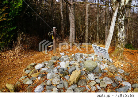 奥多摩　本仁田山山頂 72925568