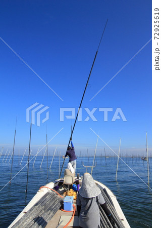 有明海の海苔養殖作業風景・海苔ヒビ（竿立て） 72925619