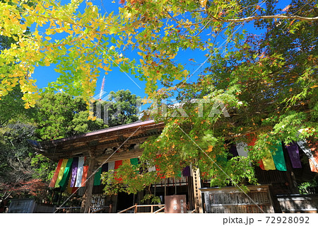 高知県 紅葉の五台山竹林寺 本堂の写真素材